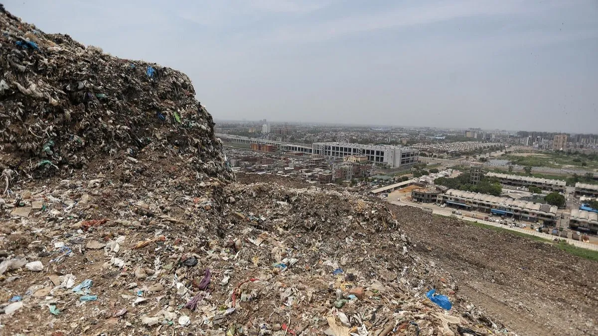 landfill ani 1770015869 1