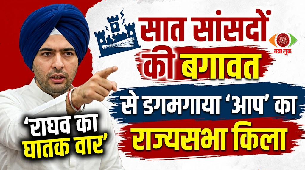 भारतीय राजनीति