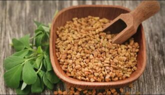 methi dana diabetes upchar :