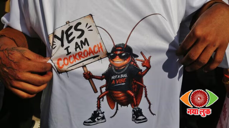 Cockroach