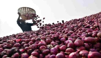  Government Onion Procurement 2026