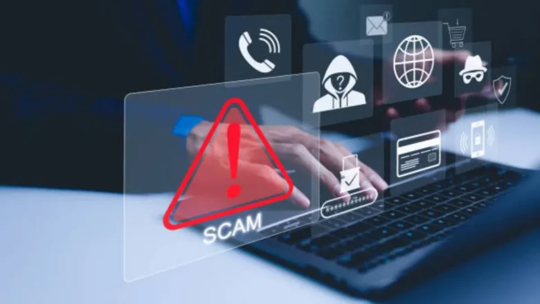 Fake website fraud