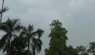 Delhi Weather