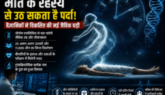 Death Prediction Tool