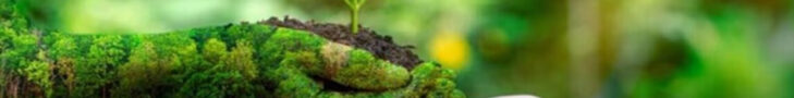 World Environment Day