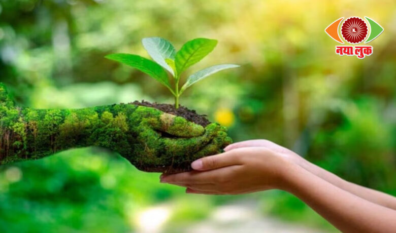 World Environment Day