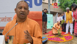 Yogi