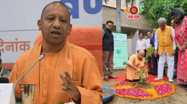 Yogi