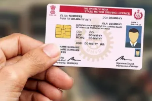 Driving License