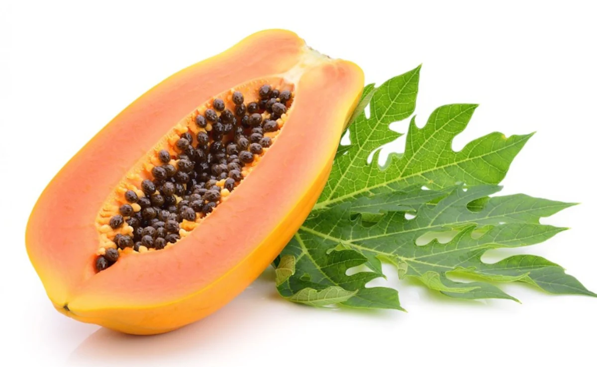 Papaya Side Effects