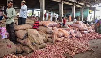 Onion Price News