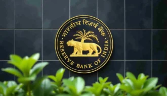RBI Report