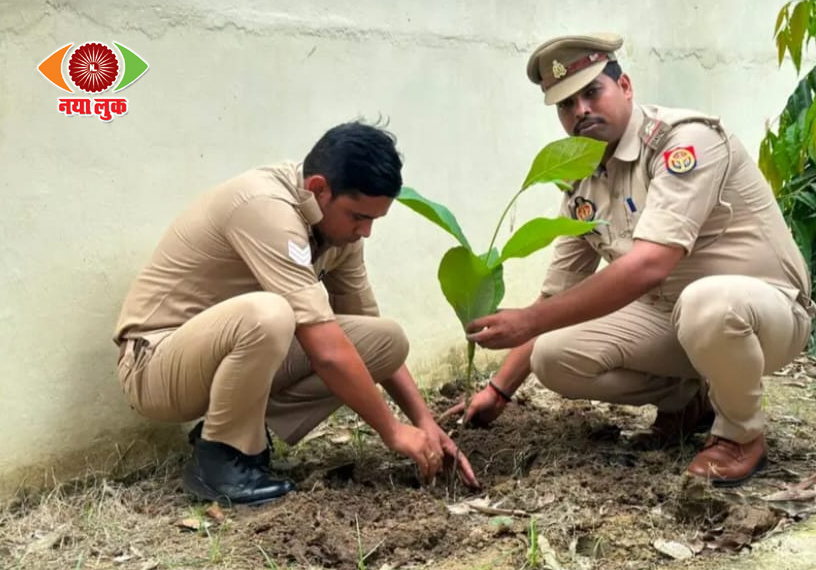 Environmental Conservation