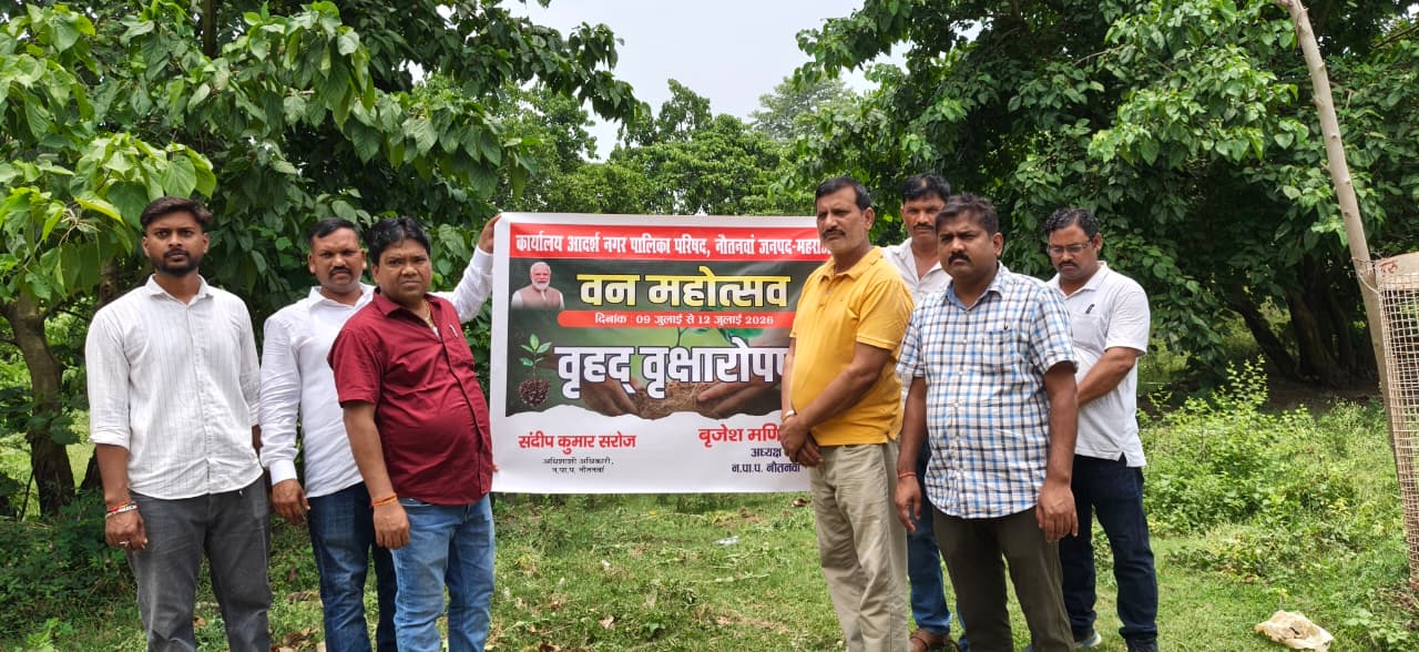 Nautanwa Tree Plantation
