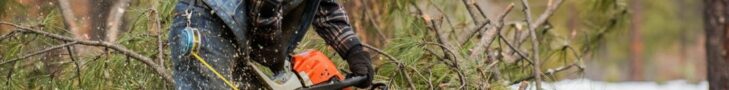 Forest Campaign