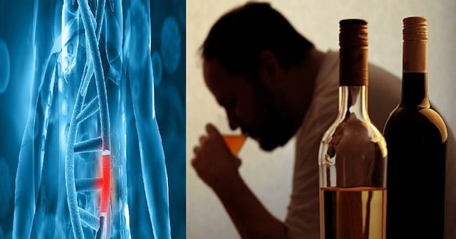 Effect of alcohol