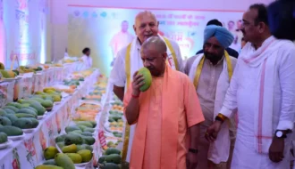 Lucknow Mango Festival