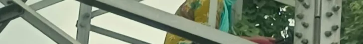 woman climbed the tower