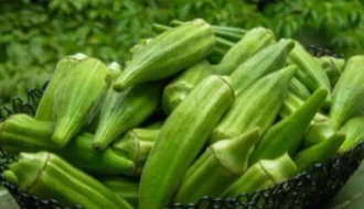 Benefits of Okra