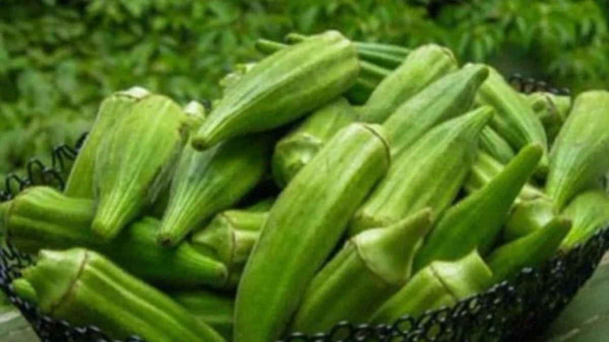 Benefits of Okra