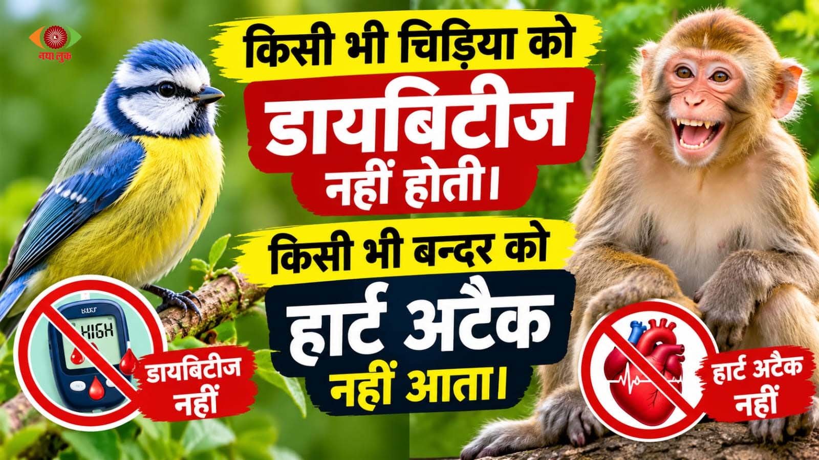 New Delhi